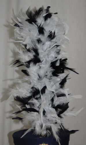 11 black and white shako plumes guardcloset