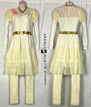 Load image into Gallery viewer, Creative Costuming Designs Single Costumes (lot 17) Creative Costuming &amp; Designs
